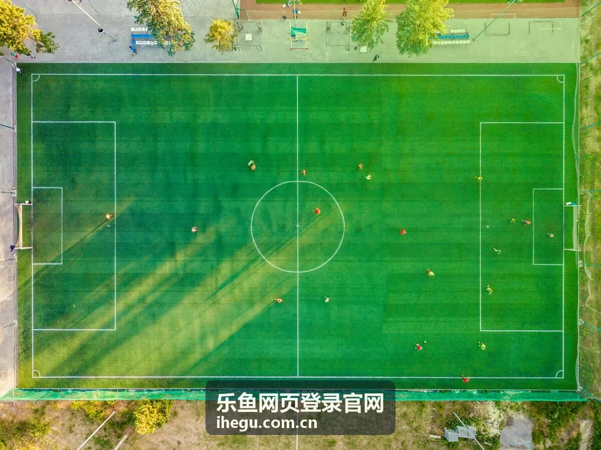 乐鱼网页登录官网资讯配图