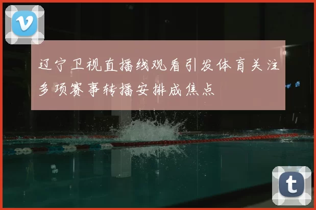 辽宁卫视直播线观看引发体育关注多项赛事转播安排成焦点