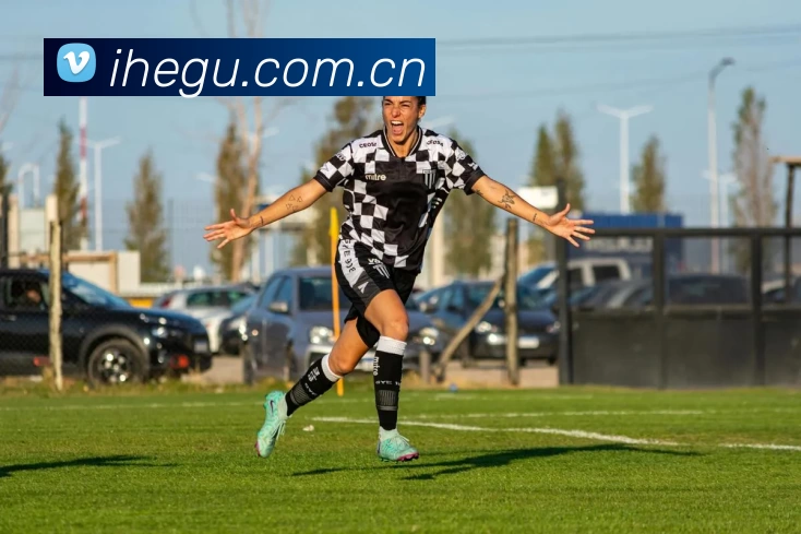 星空体育在线平台登录平台生态图